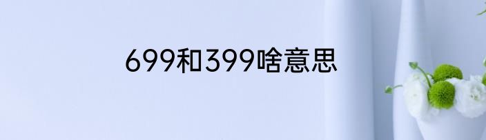 699和399啥意思