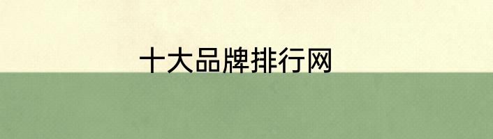 十大品牌排行网