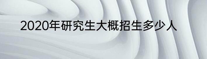 2020年研究生大概招生多少人