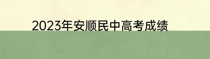 2023年安顺民中高考成绩