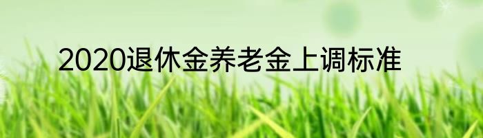 2020退休金养老金上调标准