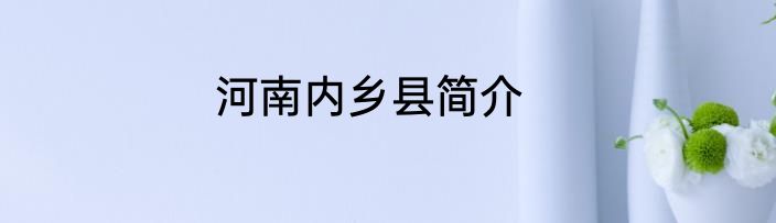 河南内乡县简介