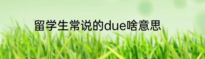 留学生常说的due啥意思