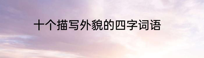 十个描写外貌的四字词语