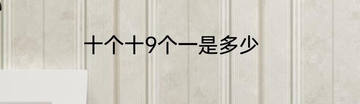 十个十9个一是多少