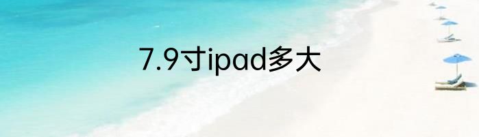 7.9寸ipad多大