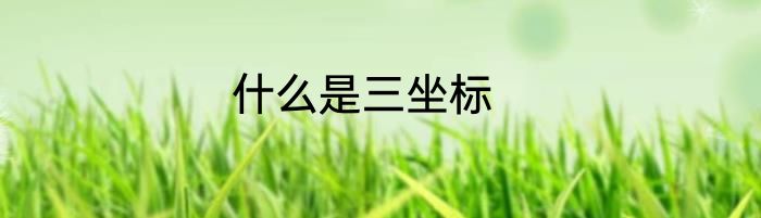 什么是三坐标