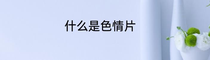 什么是色情片