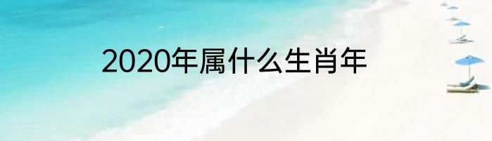 2020年属什么生肖年