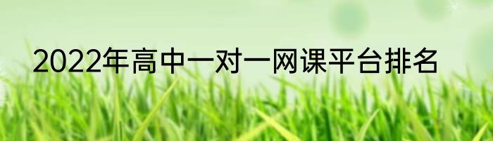2022年高中一对一网课平台排名