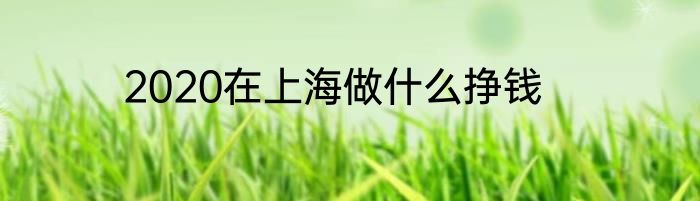 2020在上海做什么挣钱