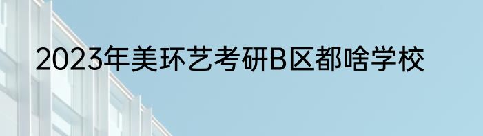 2023年美环艺考研B区都啥学校