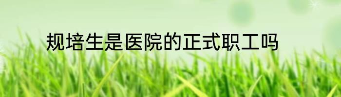 规培生是医院的正式职工吗