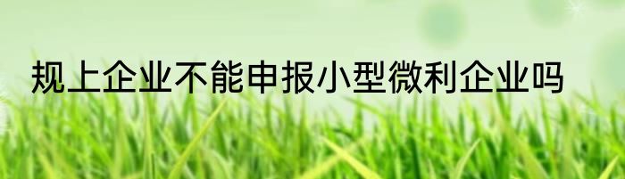 规上企业不能申报小型微利企业吗
