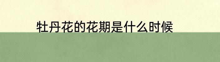 牡丹花的花期是什么时候