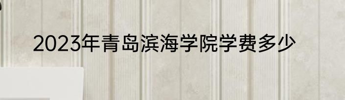 2023年青岛滨海学院学费多少