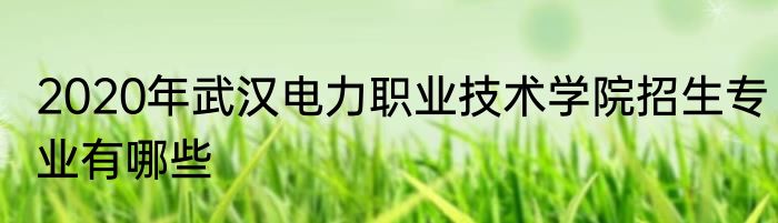 2020年武汉电力职业技术学院招生专业有哪些