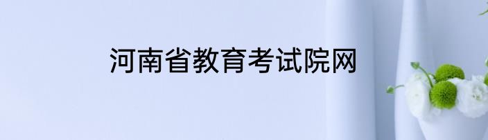 河南省教育考试院网