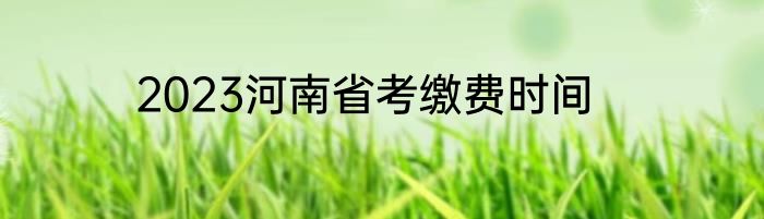 2023河南省考缴费时间
