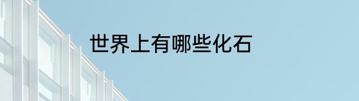 世界上有哪些化石