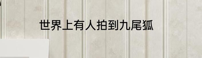 世界上有人拍到九尾狐
