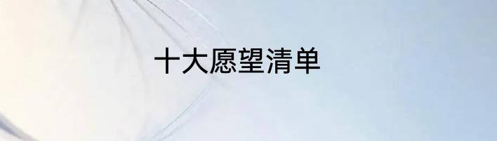 十大愿望清单
