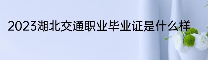 2023湖北交通职业毕业证是什么样