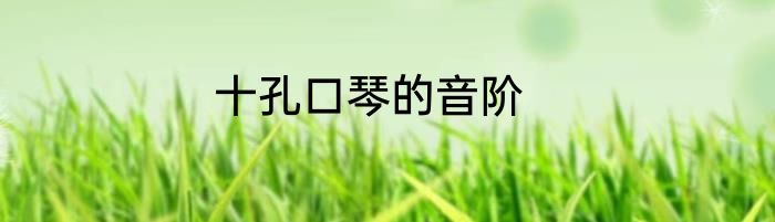 十孔口琴的音阶