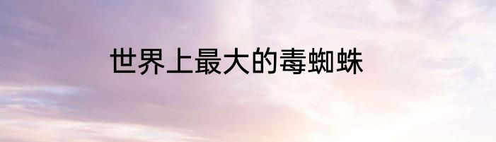 世界上最大的毒蜘蛛