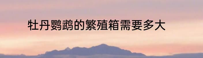 牡丹鹦鹉的繁殖箱需要多大