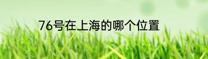 76号在上海的哪个位置