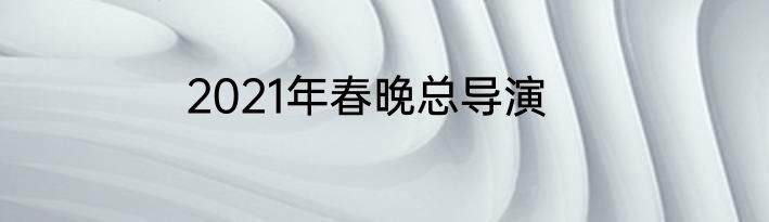 2021年春晚总导演