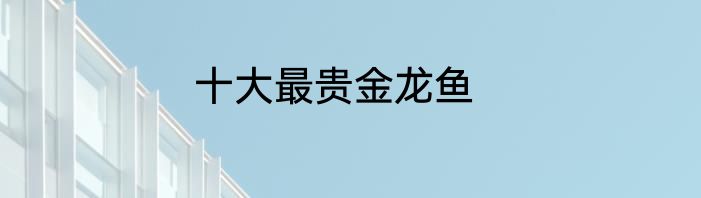 十大最贵金龙鱼
