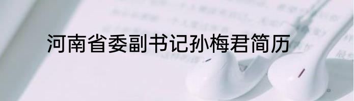 河南省委副书记孙梅君简历