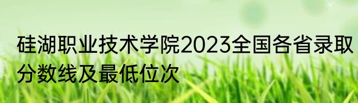 硅湖职业技术学院2023全国各省录取分数线及最低位次