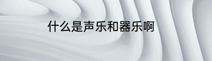 什么是声乐和器乐啊
