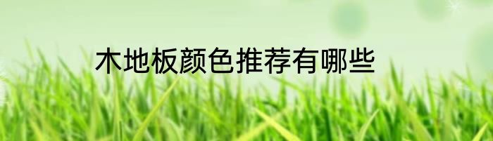 木地板颜色推荐有哪些