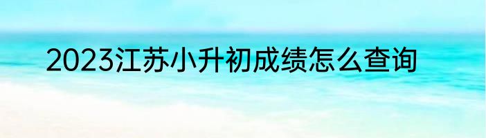 2023江苏小升初成绩怎么查询