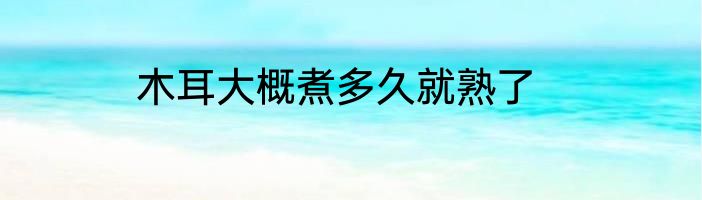 木耳大概煮多久就熟了