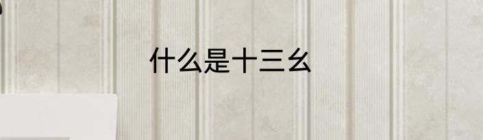 什么是十三幺