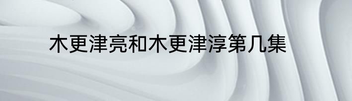 木更津亮和木更津淳第几集