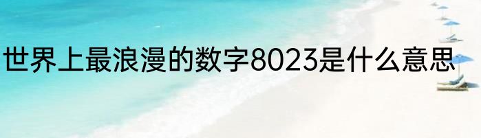 世界上最浪漫的数字8023是什么意思