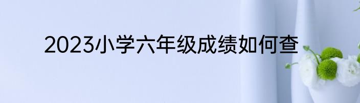 2023小学六年级成绩如何查