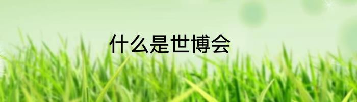 什么是世博会