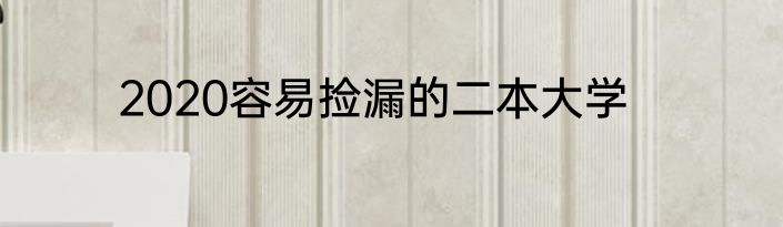 2020容易捡漏的二本大学