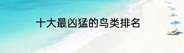 十大最凶猛的鸟类排名