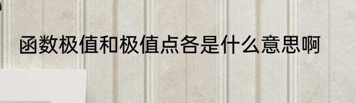 函数极值和极值点各是什么意思啊