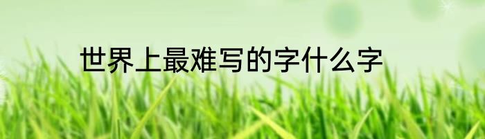 世界上最难写的字什么字
