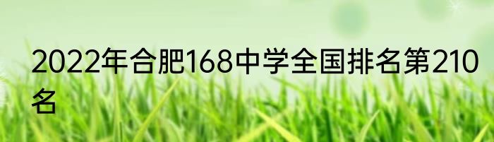 2022年合肥168中学全国排名第210名