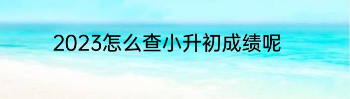 2023怎么查小升初成绩呢